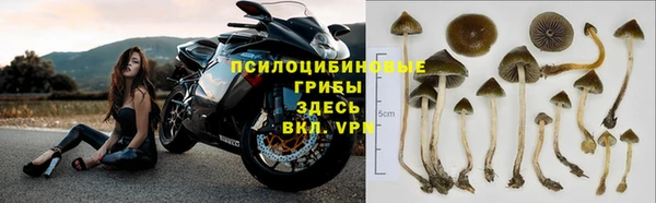 соль курить ск Абаза