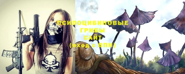 трава Абдулино