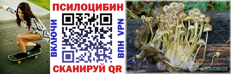 Галлюциногенные грибы Psilocybe  цена   мега маркетплейс  Ленинградская 